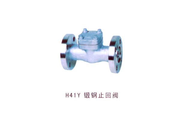 H41Y 锻钢止回阀
