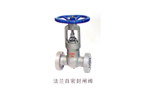 法兰自密封闸阀