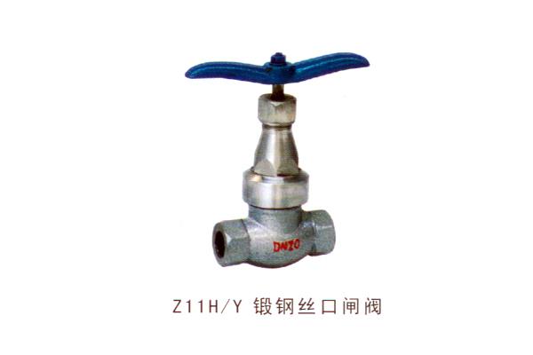Z11H Y 锻钢丝口闸阀